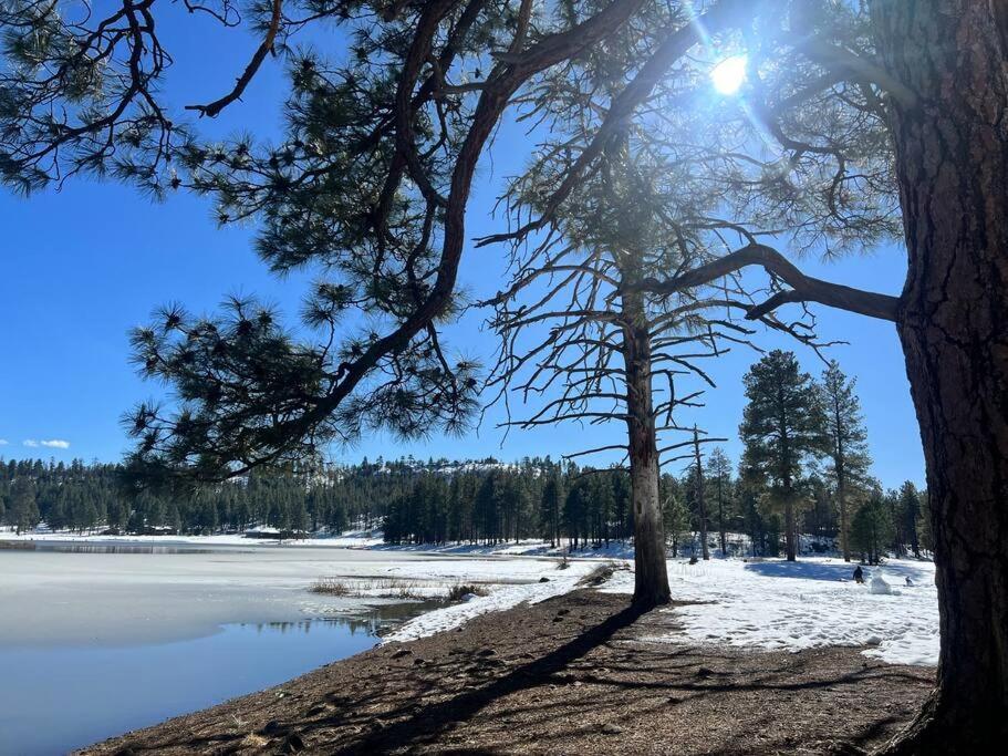 The Bluejay Cabin At Munds Park, Az! 세도나 외부 사진