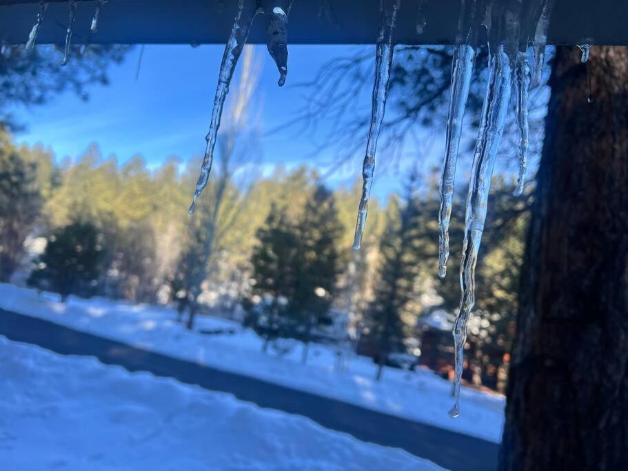 The Bluejay Cabin At Munds Park, Az! 세도나 외부 사진