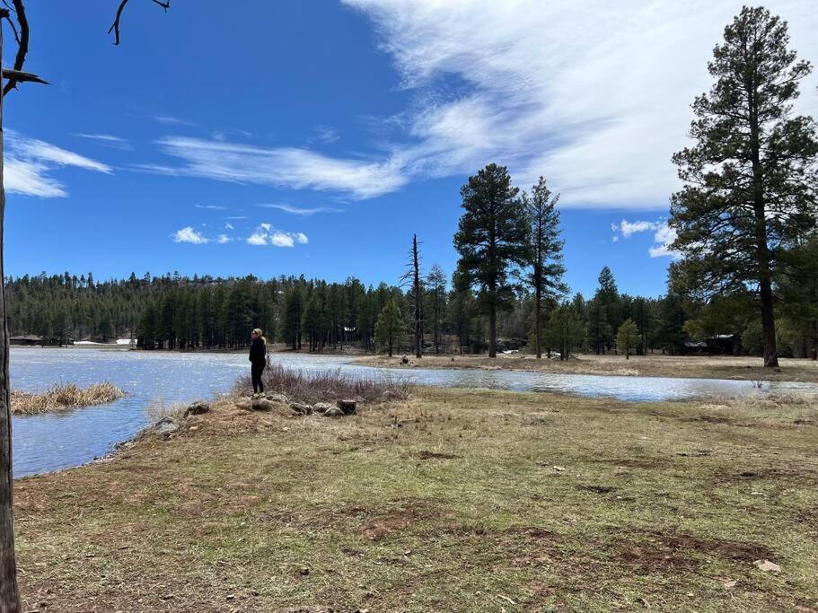The Bluejay Cabin At Munds Park, Az! 세도나 외부 사진