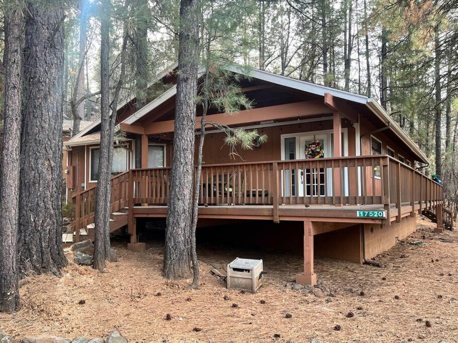 The Bluejay Cabin At Munds Park, Az! 세도나 외부 사진