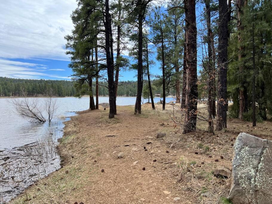 The Bluejay Cabin At Munds Park, Az! 세도나 외부 사진
