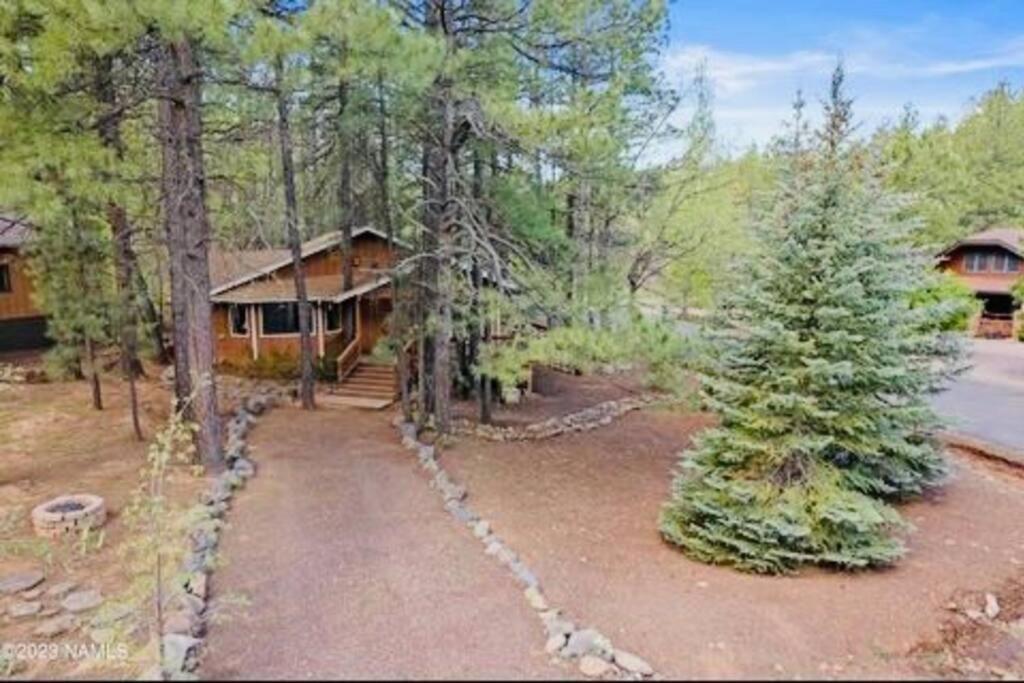 The Bluejay Cabin At Munds Park, Az! 세도나 외부 사진